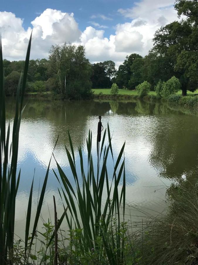 Domaine Du Clos Henri Essay Exteriör bild